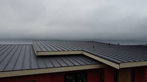 Best Rubber Roofing (EPDM, TPO)  in Olivehurst, CA